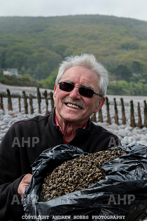 Porlock Oyster Beds 013