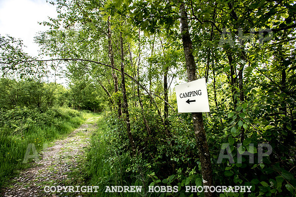 Bulworthy Cafe-0558