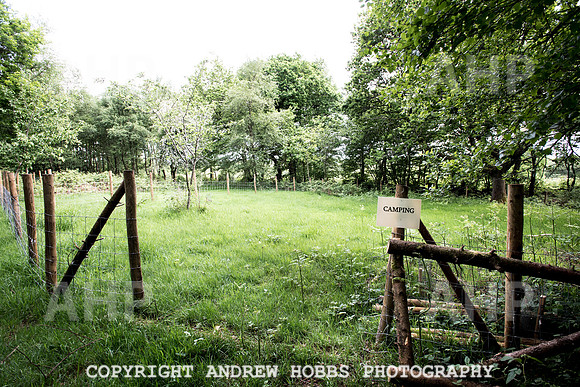 Bulworthy Cafe-0560