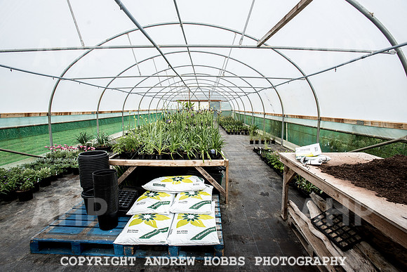 Atlantic Botanic-0826
