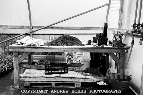 Atlantic Botanic-0855