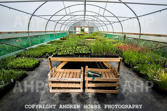 Atlantic Botanic-0897