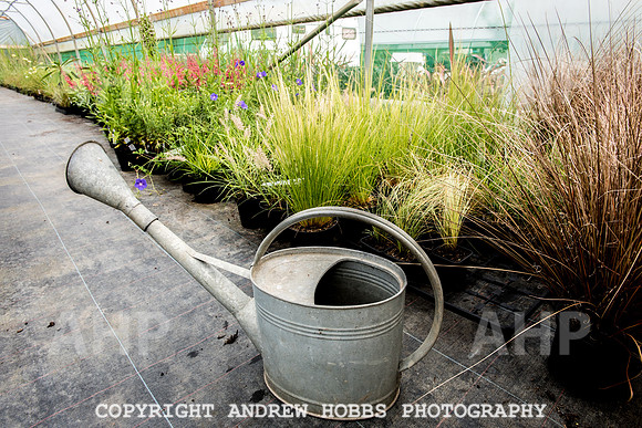Atlantic Botanic-0932