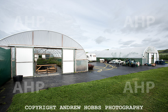 Atlantic Botanic-0938