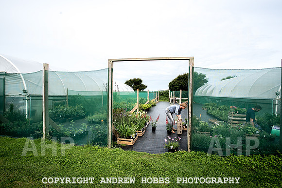 Atlantic Botanic-0939