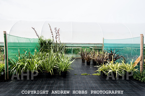 Atlantic Botanic-0941