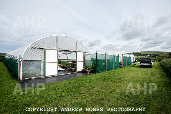 Atlantic Botanic-0946