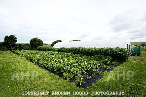 Atlantic Botanic-0947