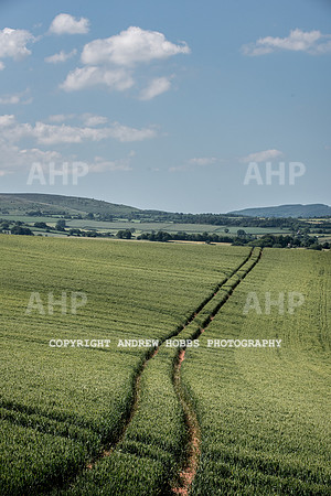 Brendon Hills-3471