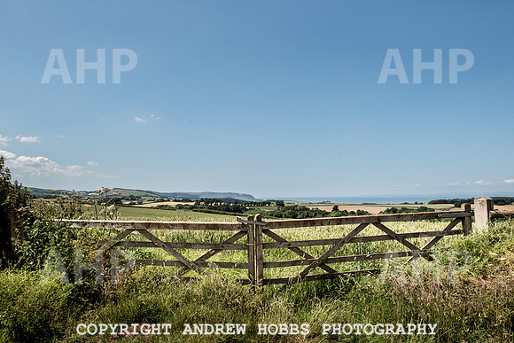 Brendon Hills-3485