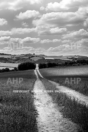 Brendon Hills-3480