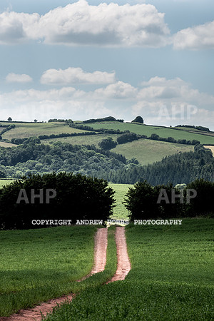 Brendon Hills-3475