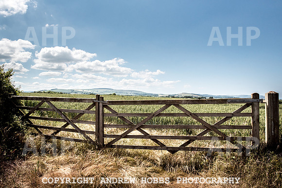 Brendon Hills-3494