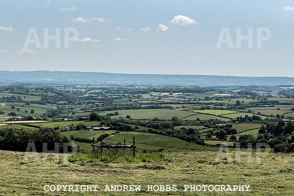 Brendon Hills-3326