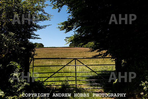 Brendon Hills-3328