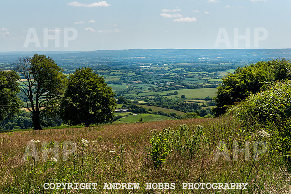 Brendon Hills-3338