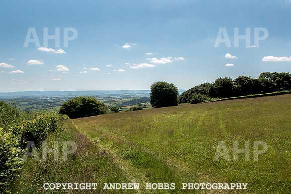 Brendon Hills-3340
