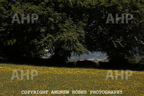 Brendon Hills-3347