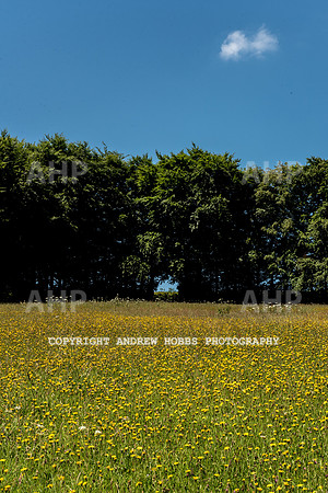 Brendon Hills-3352