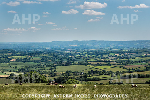 Brendon Hills-3360