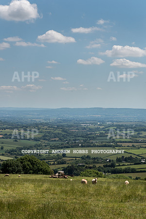 Brendon Hills-3361