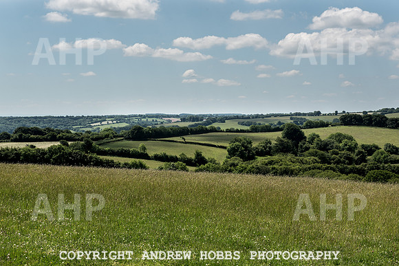 Brendon Hills-3363