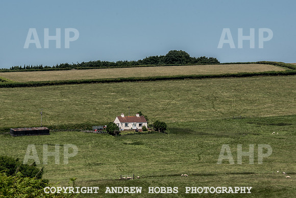 Brendon Hills-3368