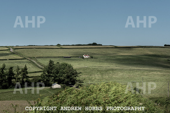 Brendon Hills-3386