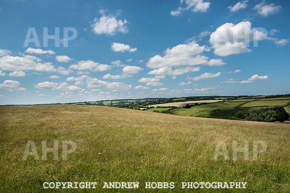 Brendon Hills-3388