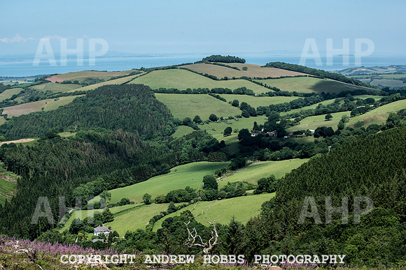 Brendon Hills-3424