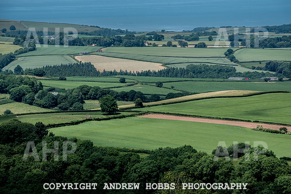 Brendon Hills-3427