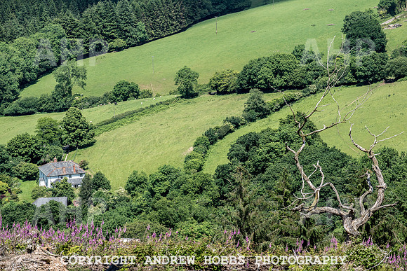Brendon Hills-3428