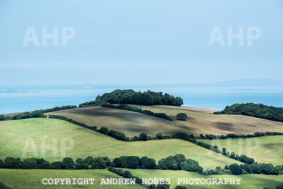 Brendon Hills-3433