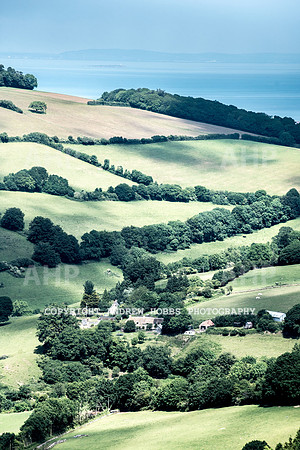 Brendon Hills-3435