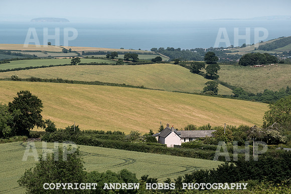 Brendon Hills-3454