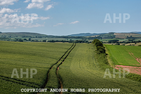 Brendon Hills-3469