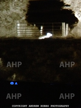 TI image-AHP_6838