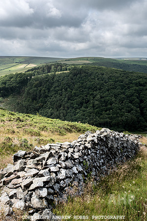 County Gate 17-3538