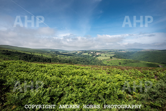 County Gate 17-3531