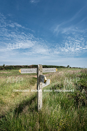 County Gate 17-3549