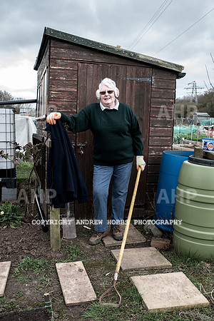 Williton Allotment-6928