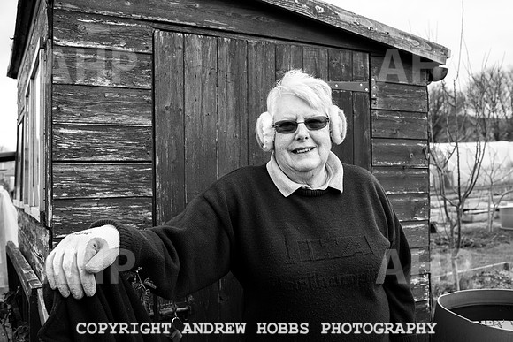 Williton Allotment-6933