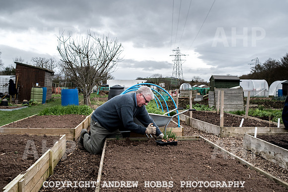 Williton Allotment-6936