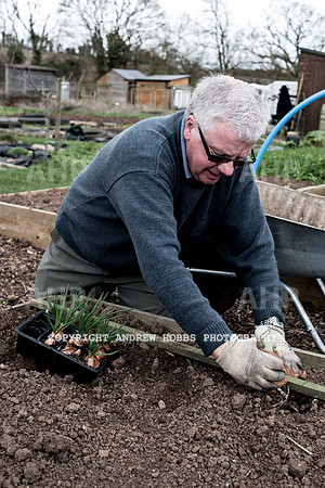 Williton Allotment-6937