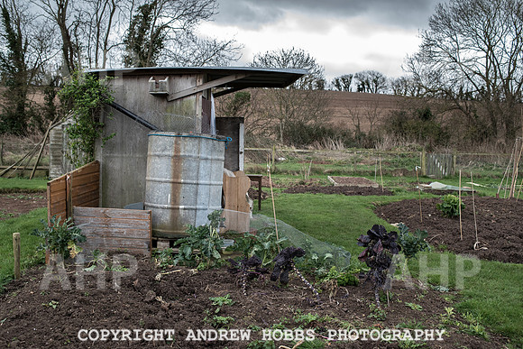 Williton Allotment-6940