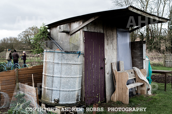 Williton Allotment-6941