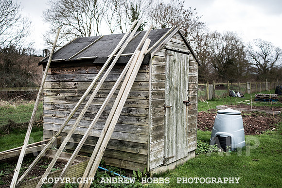 Williton Allotment-6945
