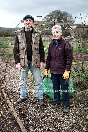 Williton Allotment-6949