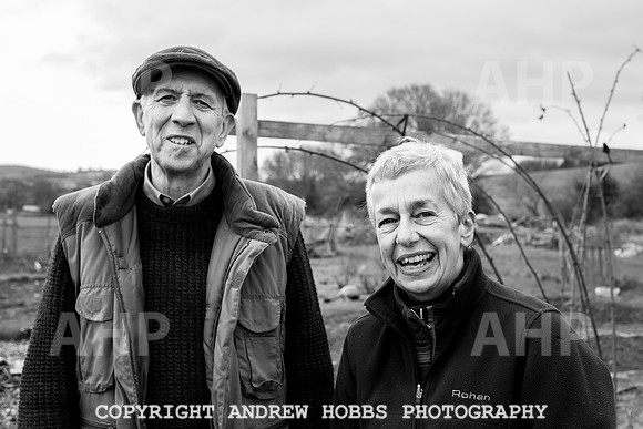 Williton Allotment-6954
