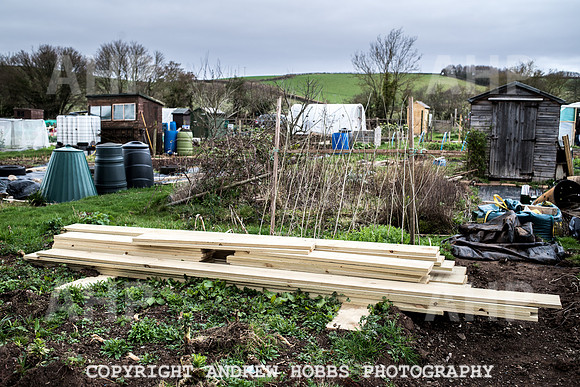 Williton Allotment-6969